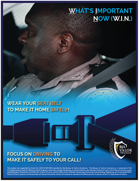 Image for What's Important Now Poster 