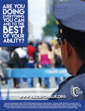Image for Best of Ability Poster
