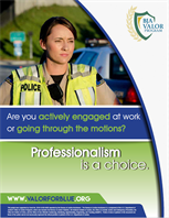 Image for Professionalism is a Choice Poster